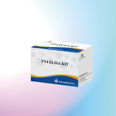 Kit di prova FT4 Elisa per analisi quantitativa e qualitativa
