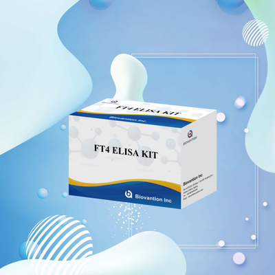 Kit di prova FT4 Elisa per analisi quantitativa e qualitativa