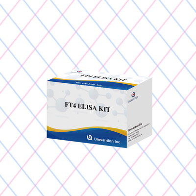 Kit di prova FT4 Elisa per analisi quantitativa e qualitativa