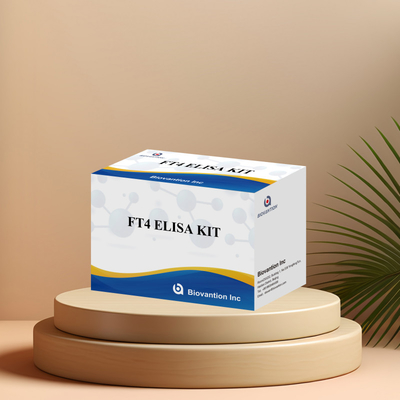 Kit di prova FT4 Elisa per analisi quantitativa e qualitativa