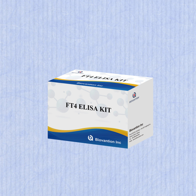 Kit di prova FT4 Elisa per analisi quantitativa e qualitativa