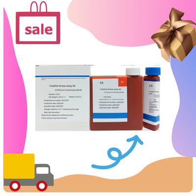 Biovantion CK Creatine Kinase Assay Kit IVD Quantitativo