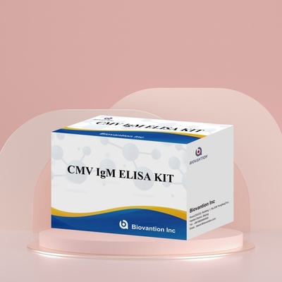 Biovantion High-Sensitivity CMV ELISA Reagent Kit per il rilevamento degli anticorpi anti-citomegalovirus