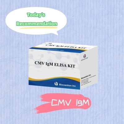 Biovantion High-Sensitivity CMV ELISA Reagent Kit per il rilevamento degli anticorpi anti-citomegalovirus
