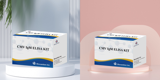Biovantion High-Sensitivity CMV ELISA Reagent Kit per il rilevamento degli anticorpi anti-citomegalovirus