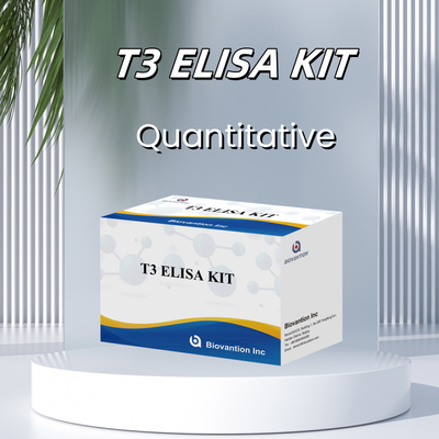Kit di prova Elisa T3 ad alta specificità per il rilevamento accurato delle sostanze bersaglio