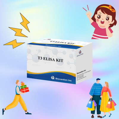 Kit di prova Elisa T3 ad alta specificità per il rilevamento accurato delle sostanze bersaglio
