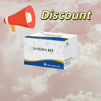 T4 Triiodotironina Elisa Test Kit Test dell' ormone tiroideo comunemente utilizzato