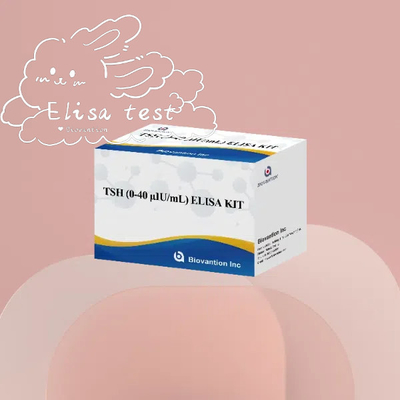 TSH Elisa Reagente Kit di determinazione quantitativa Siero Stimolatore della tiroide