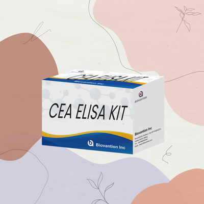 Accuratezza CEA Kit di prova quantitativo Elisa per l'analisi quantitativa e qualitativa degli obiettivi