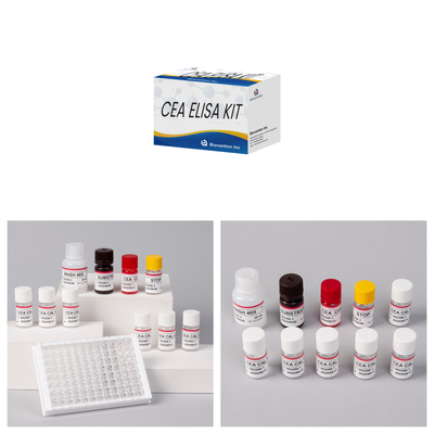 Accuratezza CEA Kit di prova quantitativo Elisa per l'analisi quantitativa e qualitativa degli obiettivi