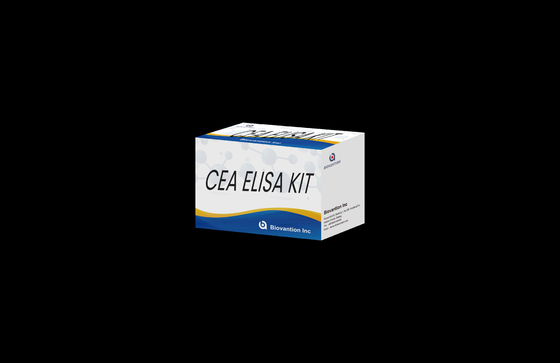Accuratezza CEA Kit di prova quantitativo Elisa per l'analisi quantitativa e qualitativa degli obiettivi