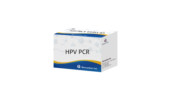 Kit di rilevamento del papillomavirus umano HPV PCR Multiplex Instruzioni di PCR in tempo reale