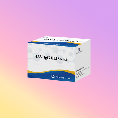 Alta sensibilità HAV IgG kit ELISA accurato Hepatite A Virus rilevamento affidabile CE certificato per uso clinico e di ricerca