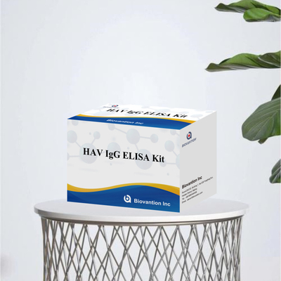 Alta sensibilità HAV IgG kit ELISA accurato Hepatite A Virus rilevamento affidabile CE certificato per uso clinico e di ricerca