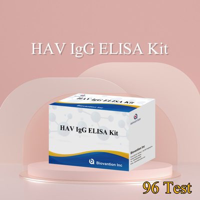 Alta sensibilità HAV IgG kit ELISA accurato Hepatite A Virus rilevamento affidabile CE certificato per uso clinico e di ricerca