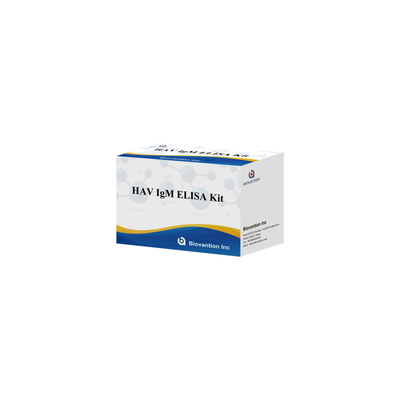 HAV IgM ELISA Kit Alta sensibilità Epatite A Virus Detection Test diagnostico accurato e affidabile per laboratori clinici