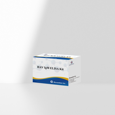 HAV IgM ELISA Kit Alta sensibilità Epatite A Virus Detection Test diagnostico accurato e affidabile per laboratori clinici