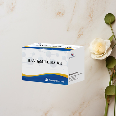 HAV IgM ELISA Kit Alta sensibilità Epatite A Virus Detection Test diagnostico accurato e affidabile per laboratori clinici