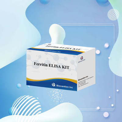Biovantion Kit di prova per la ferritina Elisa ad alta sensibilità Rilevazione quantitativa per diagnosi clinica e ricerca Utilizzare campioni di plasma del siero umano