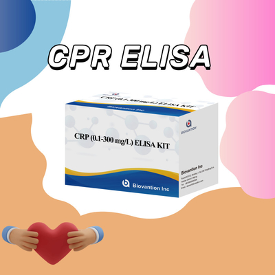 CRP accurato 0,1-300 mg/l Kit di prova Elisa per il rilevamento sensibile di sostanze biologiche