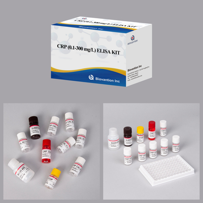 CRP accurato 0,1-300 mg/l Kit di prova Elisa per il rilevamento sensibile di sostanze biologiche