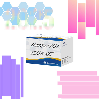 KIT ELISA per la diagnosi della dengue Ns1 con durata di conservazione di 18 mesi