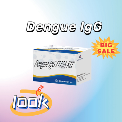 Kit di test IgG Elisa ad alte prestazioni per la dengue per risultati sensibili e specifici