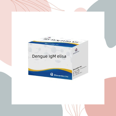 Dengue IgM ELISA per la diagnosi in vitro dell'infezione da virus della dengue