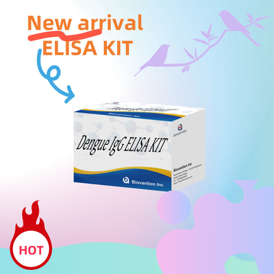 Kit ELISA IgG per la dengue personalizzabile per l'analisi specifica e biologica dei campioni