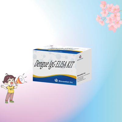 Kit ELISA IgG per la dengue personalizzabile per l'analisi specifica e biologica dei campioni