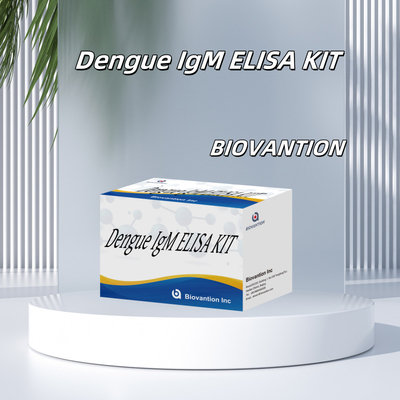 Kit di prova IgM Elisa per il dengue altamente sensibile per bassi limiti di rilevamento e alta precisione