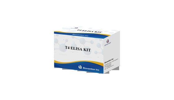 Kit di prova Elisa T4 ad alta specificità per l'accurato rilevamento delle sostanze bersaglio