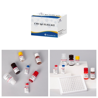 Kit di prova CMV Elisa altamente sensibile per risultati precisi e precisi