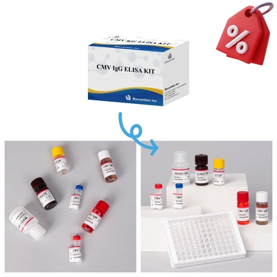 Kit di prova CMV Elisa altamente sensibile per risultati precisi e precisi