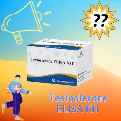 Teststerone Elisa ad alte prestazioni kit per la quantificazione accurata dei biomarcatori
