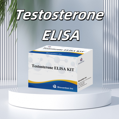Teststerone Elisa ad alte prestazioni kit per la quantificazione accurata dei biomarcatori