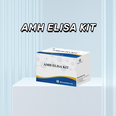Test IVD Ormone antimulleriano AMH Elisa per l'individuazione umana con test 96