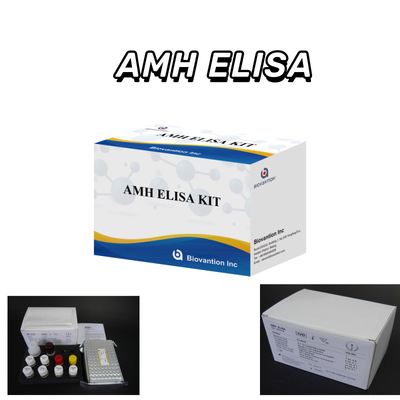 Test IVD Ormone antimulleriano AMH Elisa per l'individuazione umana con test 96