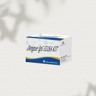 Determinazione di batch di febbre dengue Igg metodo enzimatico con 96test