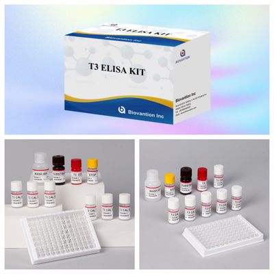 Kit di prova T3 Elisa personalizzabile per l'accurata quantificazione dei biomarcatori