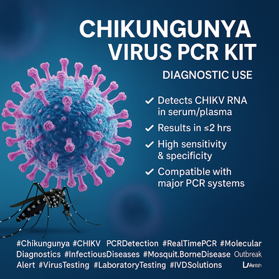 Kit per il test del virus Chikungunya Manuale di utilizzo Cassa in plastica Stabilità di 24 mesi