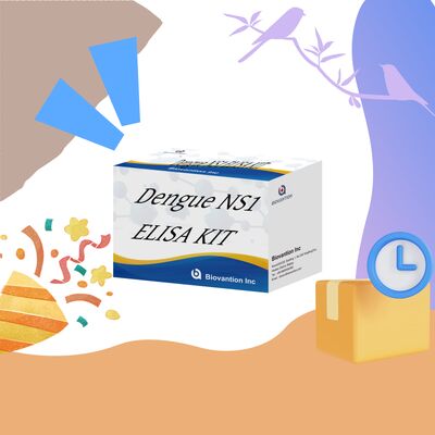 18 mesi di durata di conservazione Kit di test ELISA IgM per la dengue ad alta sensibilità e 96 test/Kit per la diagnosi in laboratorio ospedaliero