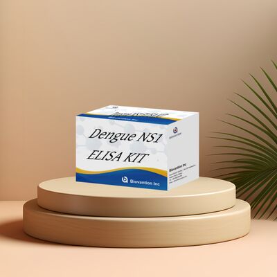 18 mesi di durata di conservazione Kit di test ELISA IgM per la dengue ad alta sensibilità e 96 test/Kit per la diagnosi in laboratorio ospedaliero