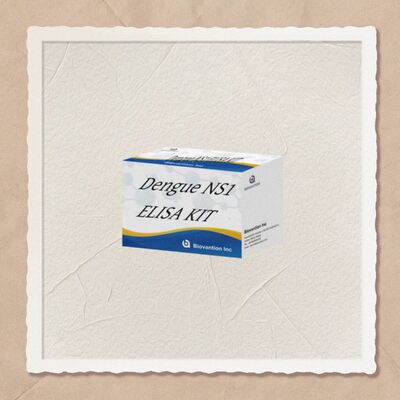 18 mesi di durata di conservazione Kit di test ELISA IgM per la dengue ad alta sensibilità e 96 test/Kit per la diagnosi in laboratorio ospedaliero