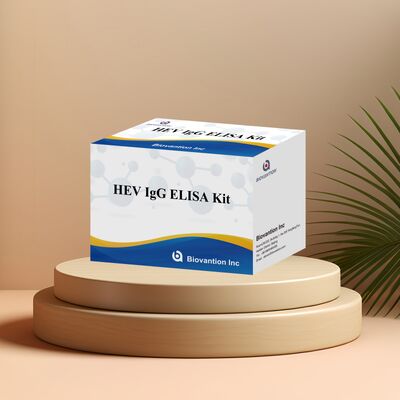 Kit ELISA HEV-IgG ad alta sensibilità con formato 96T e 18 mesi di validità per la diagnosi dell'epatite E