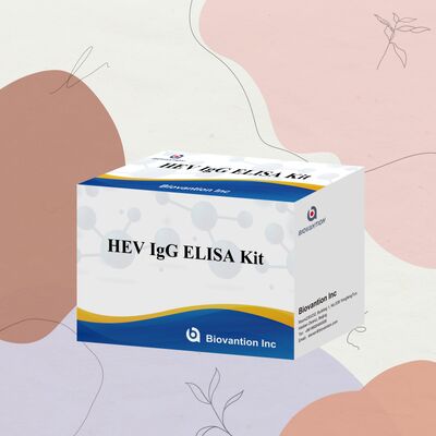 Kit ELISA HEV-IgG ad alta sensibilità con formato 96T e 18 mesi di validità per la diagnosi dell'epatite E