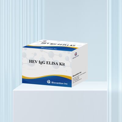 Kit ELISA HEV-IgG ad alta sensibilità con formato 96T e 18 mesi di validità per la diagnosi dell'epatite E