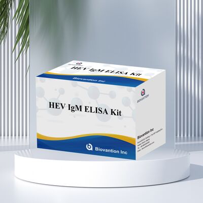 Kit Elisa IgM HEV ad alta sensibilità con formato 96T e tempo di saggio di 2-3 ore per una diagnosi accurata