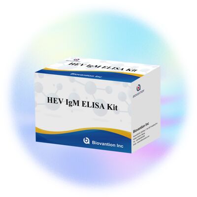 Kit Elisa IgM HEV ad alta sensibilità con formato 96T e tempo di saggio di 2-3 ore per una diagnosi accurata